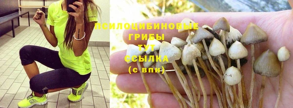 марки lsd Горно-Алтайск
