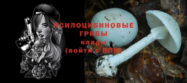 мяу мяу кристалл Горняк