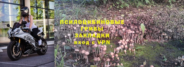 винт Кирсанов
